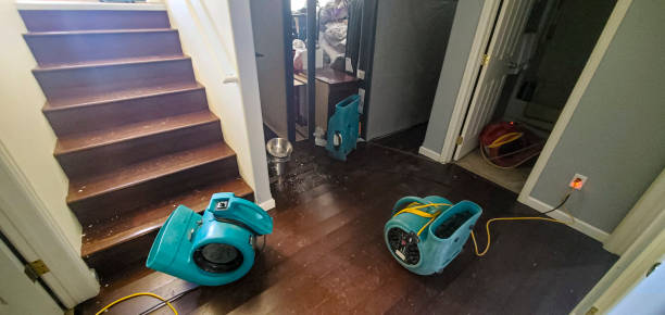Best Carpet water damage restoration  in Silverdale, WA