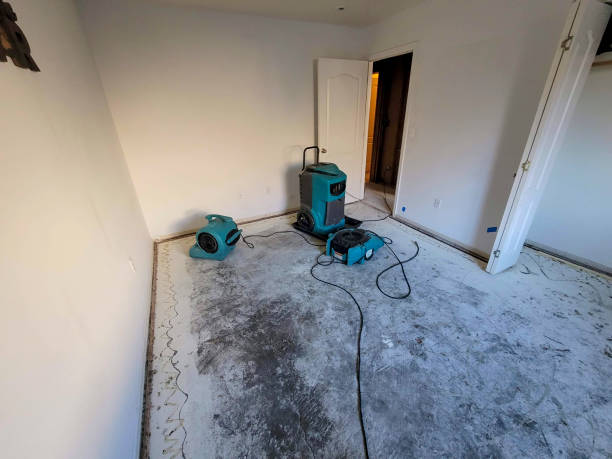 Best Water damage cleanup near me  in Silverdale, WA