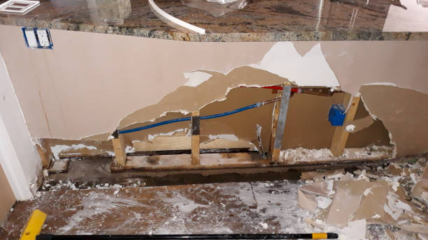 Best Professional water damage repair  in Silverdale, WA