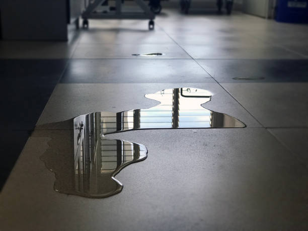 Best 24/7 water damage repair  in Silverdale, WA