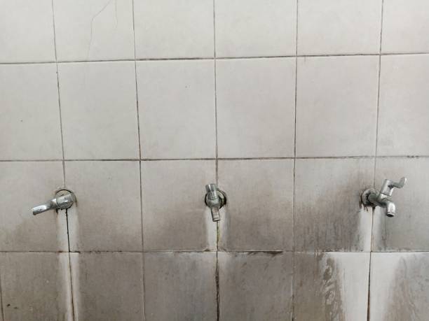Best Basement water damage restoration  in Silverdale, WA