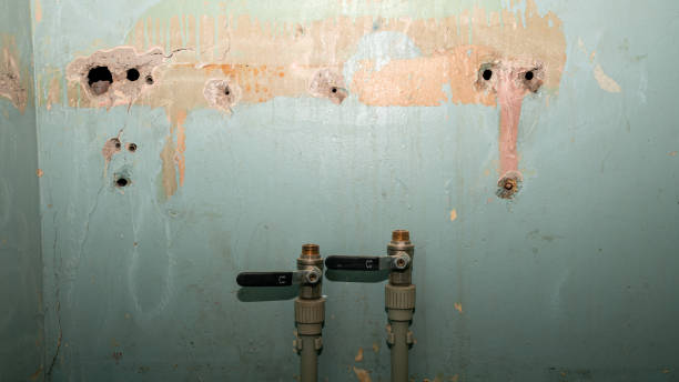 Reliable Silverdale, WA Water damage restoration Solutions