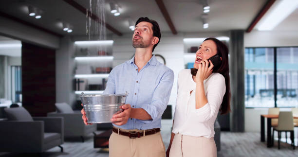 Best Fire Damage Restoration  in Silverdale, WA