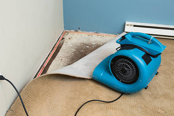 Best Water damage contractors near me  in Silverdale, WA
